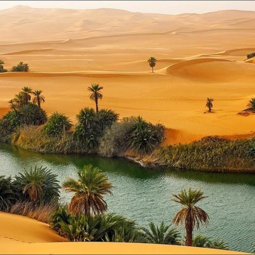 Libya’s New PPP Law- A Gateway to Opportunity and Legal Challenges for Multinationals